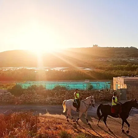 公寓 Modern Seafront! Kalkara